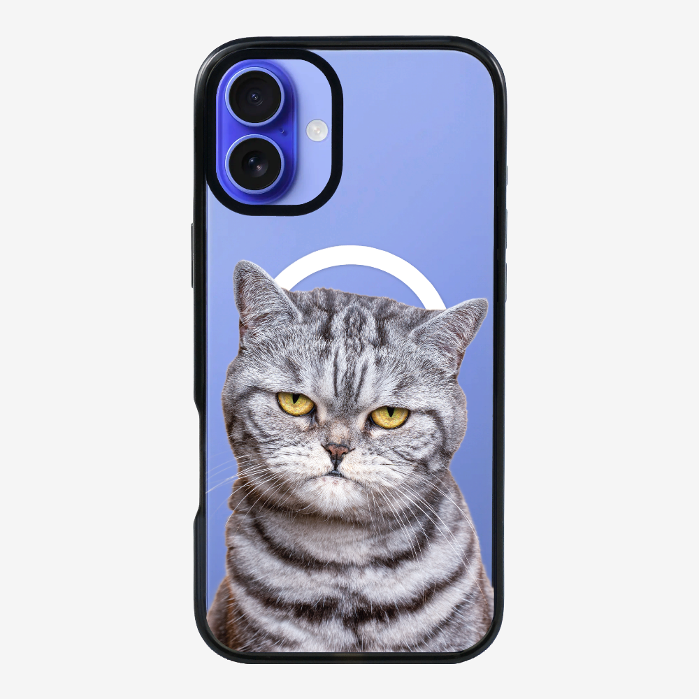 Silver Tabby (Transparent) Phone Case