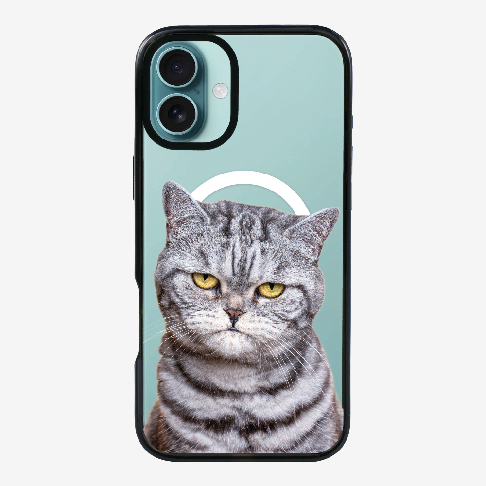 Silver Tabby (Transparent) Phone Case