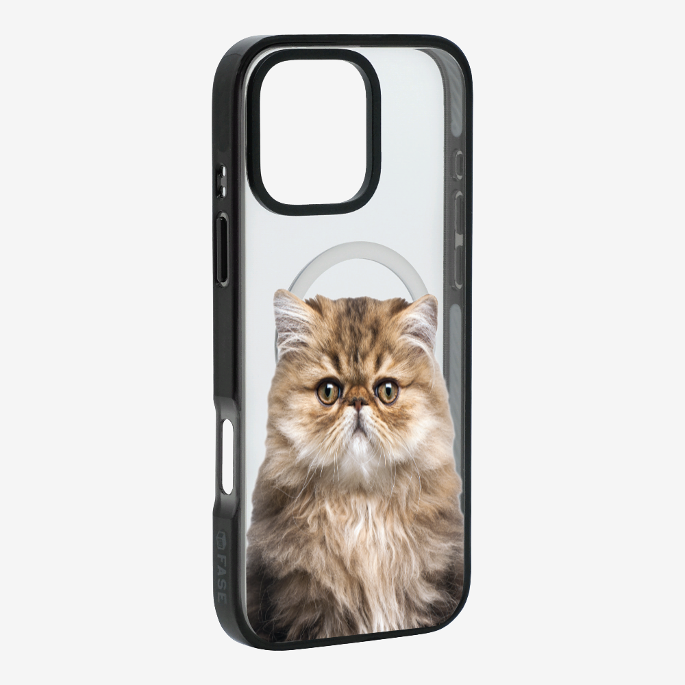 Persian Kitten (Transparent) Phone Case