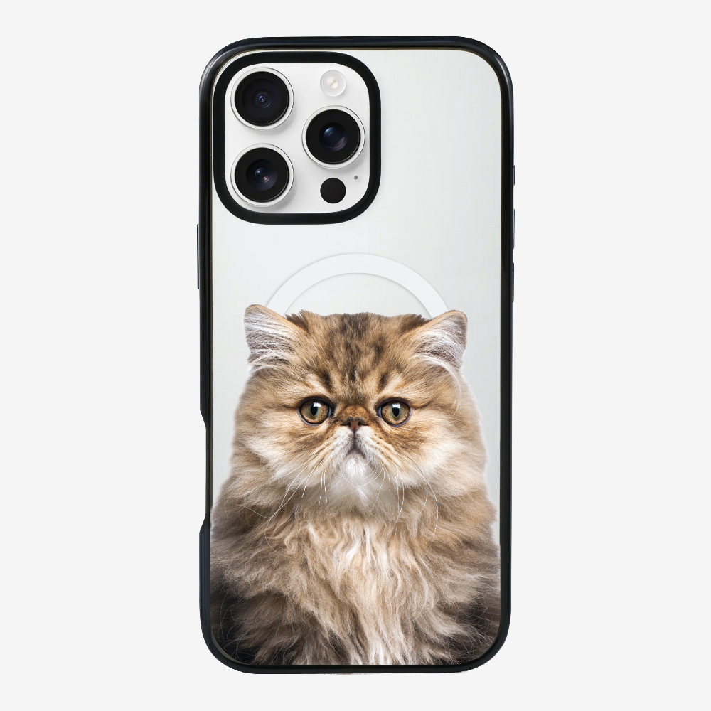 Persian Kitten (Transparent) Phone Case