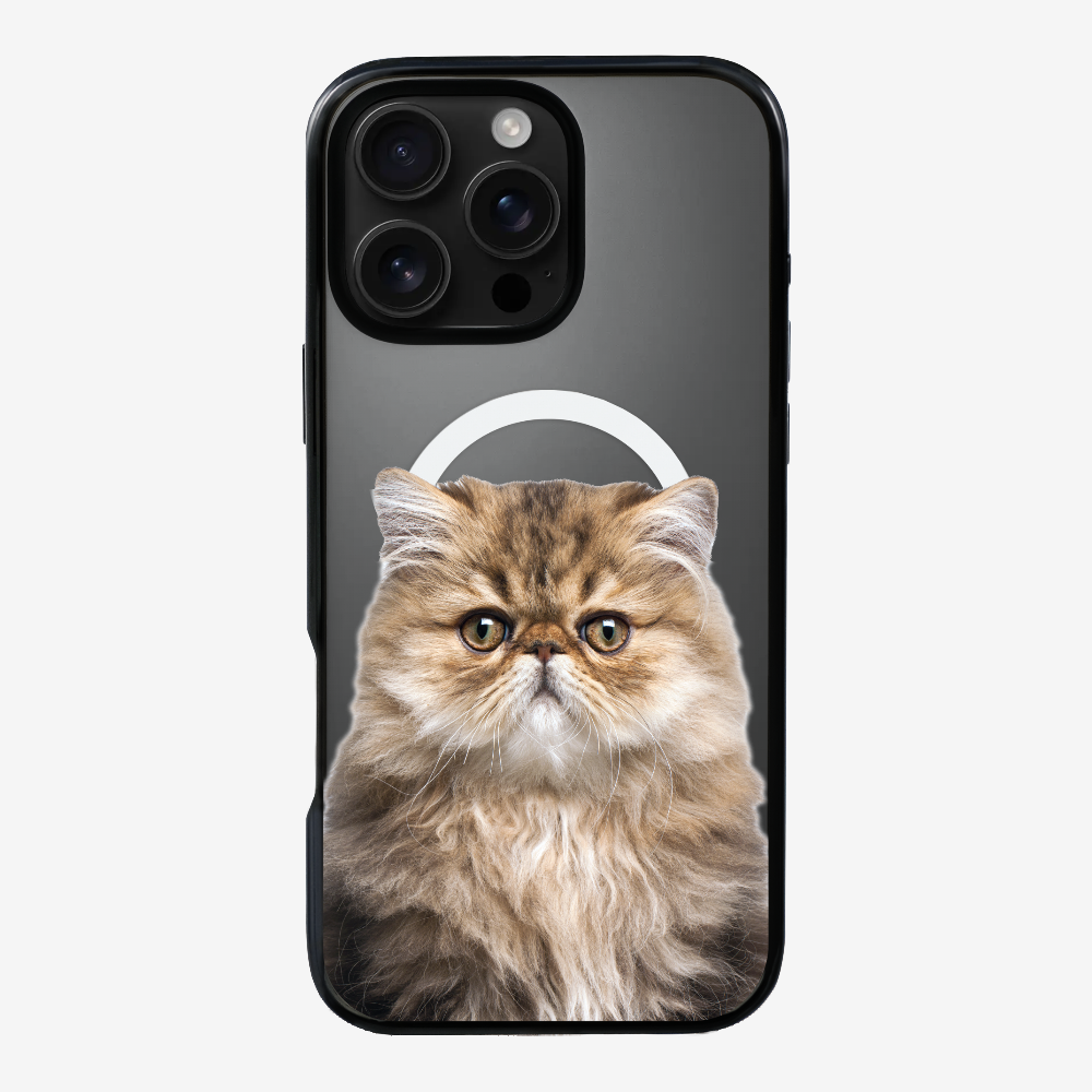 Persian Kitten (Transparent) Phone Case