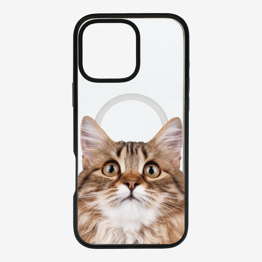 Long-haired Kitten (Transparent) Phone Case