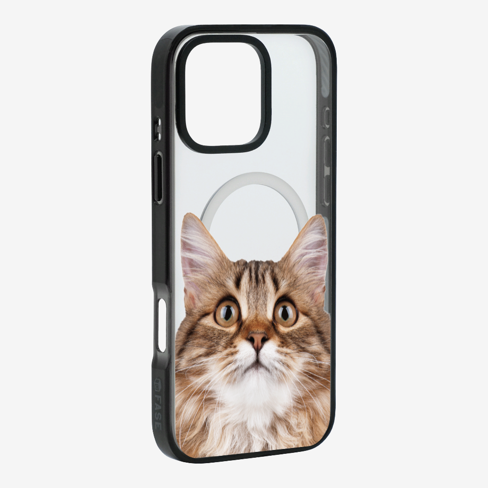 Long-haired Kitten (Transparent) Phone Case