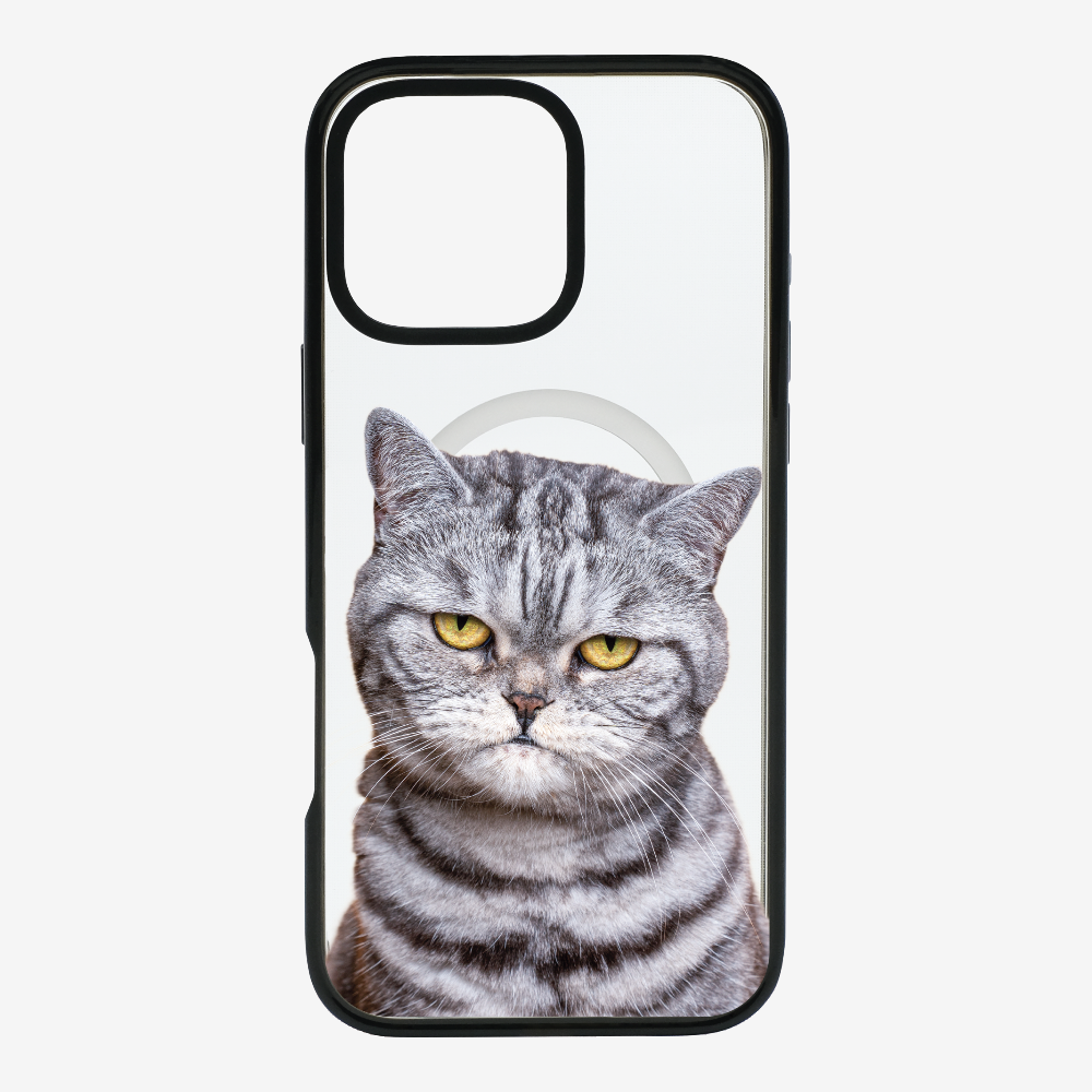 Silver Tabby (Transparent) Phone Case