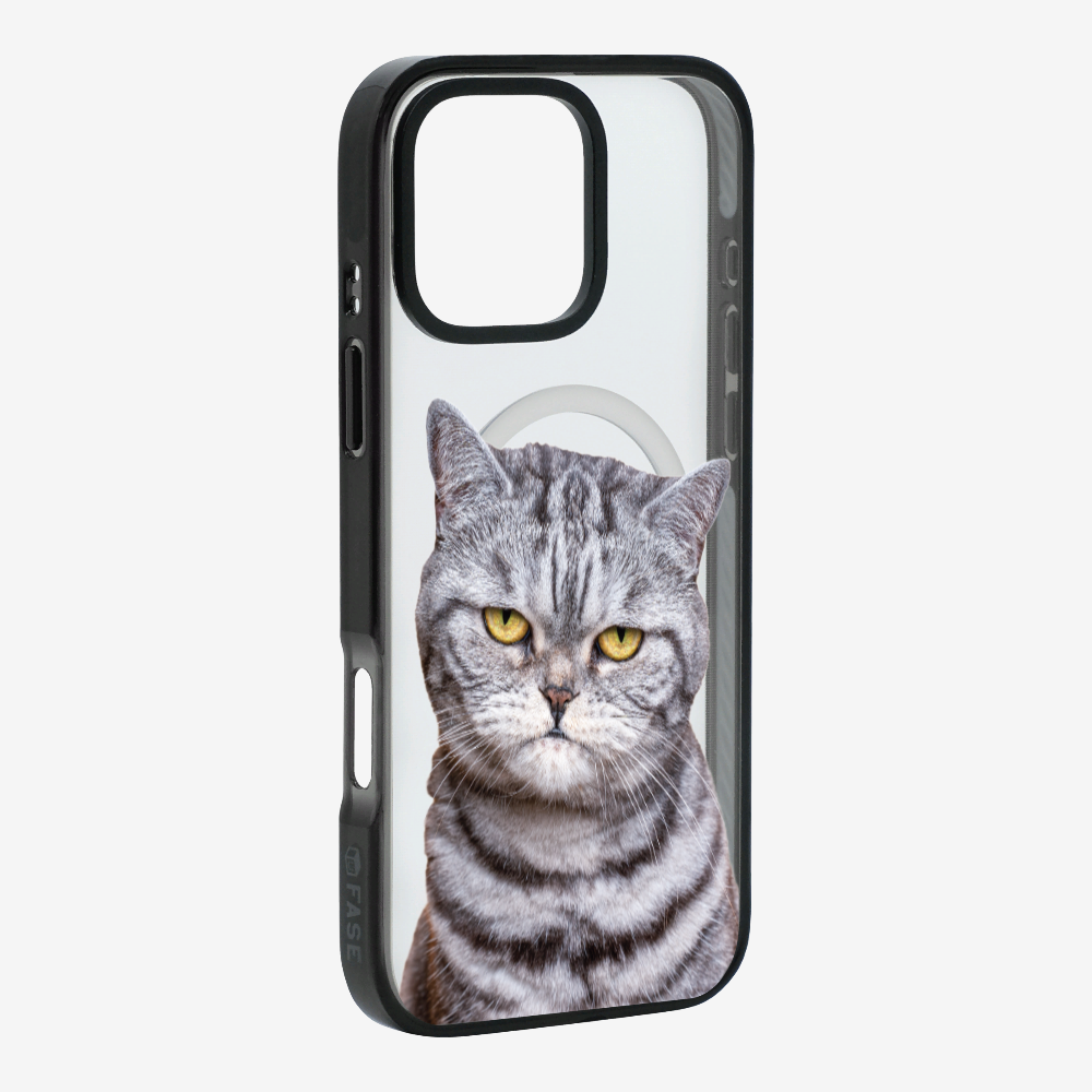 Silver Tabby (Transparent) Phone Case