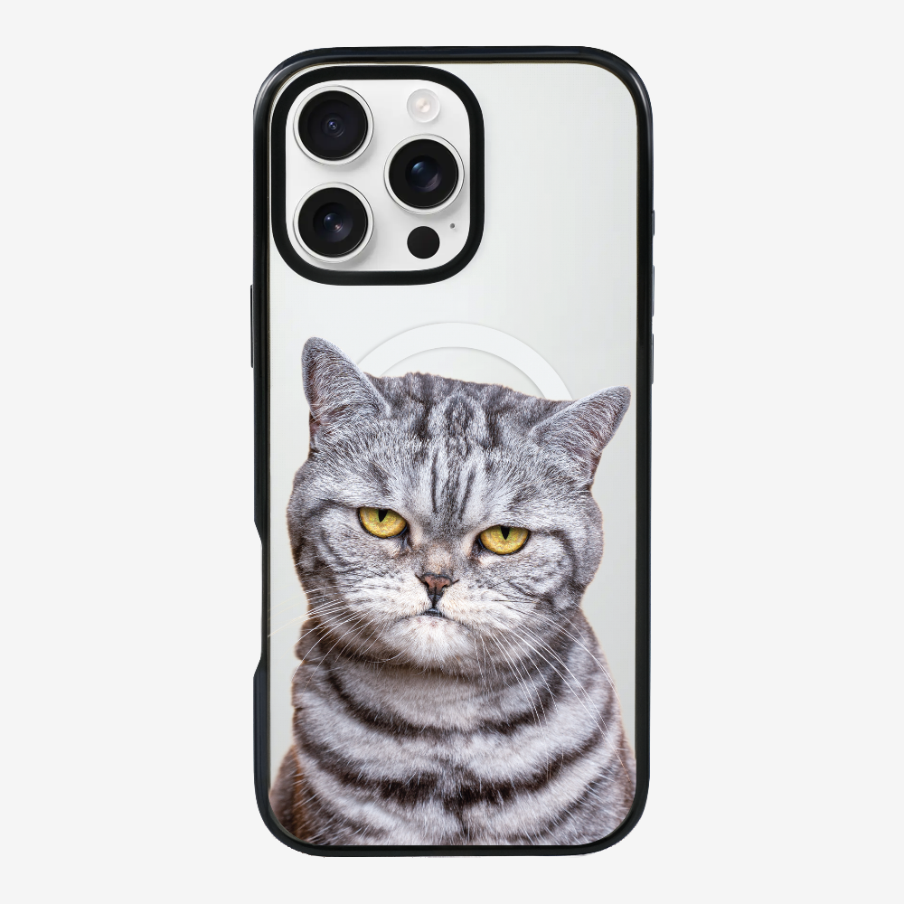 Silver Tabby (Transparent) Phone Case