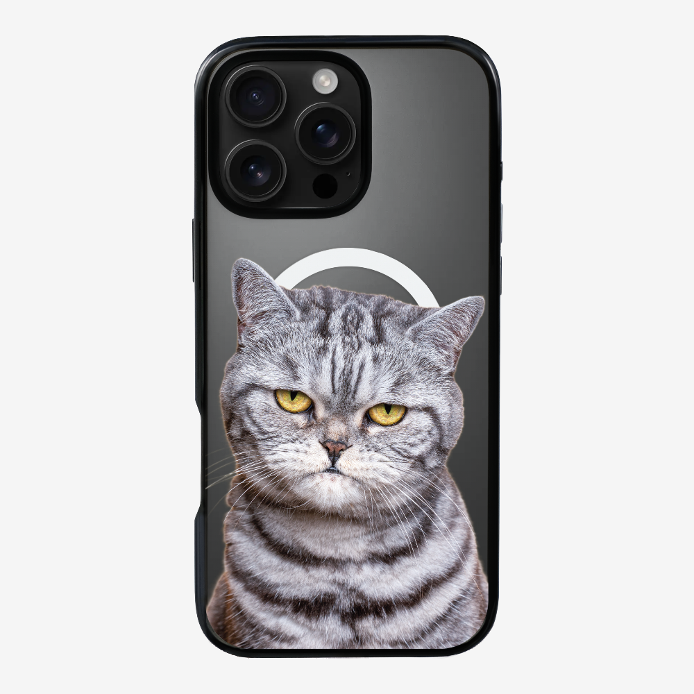 Silver Tabby (Transparent) Phone Case