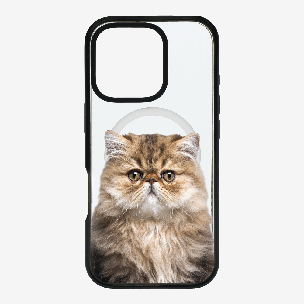 Persian Kitten (Transparent) Phone Case