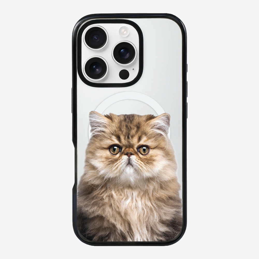 Persian Kitten (Transparent) Phone Case