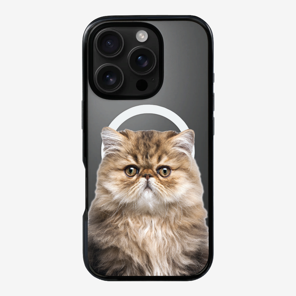 Persian Kitten (Transparent) Phone Case