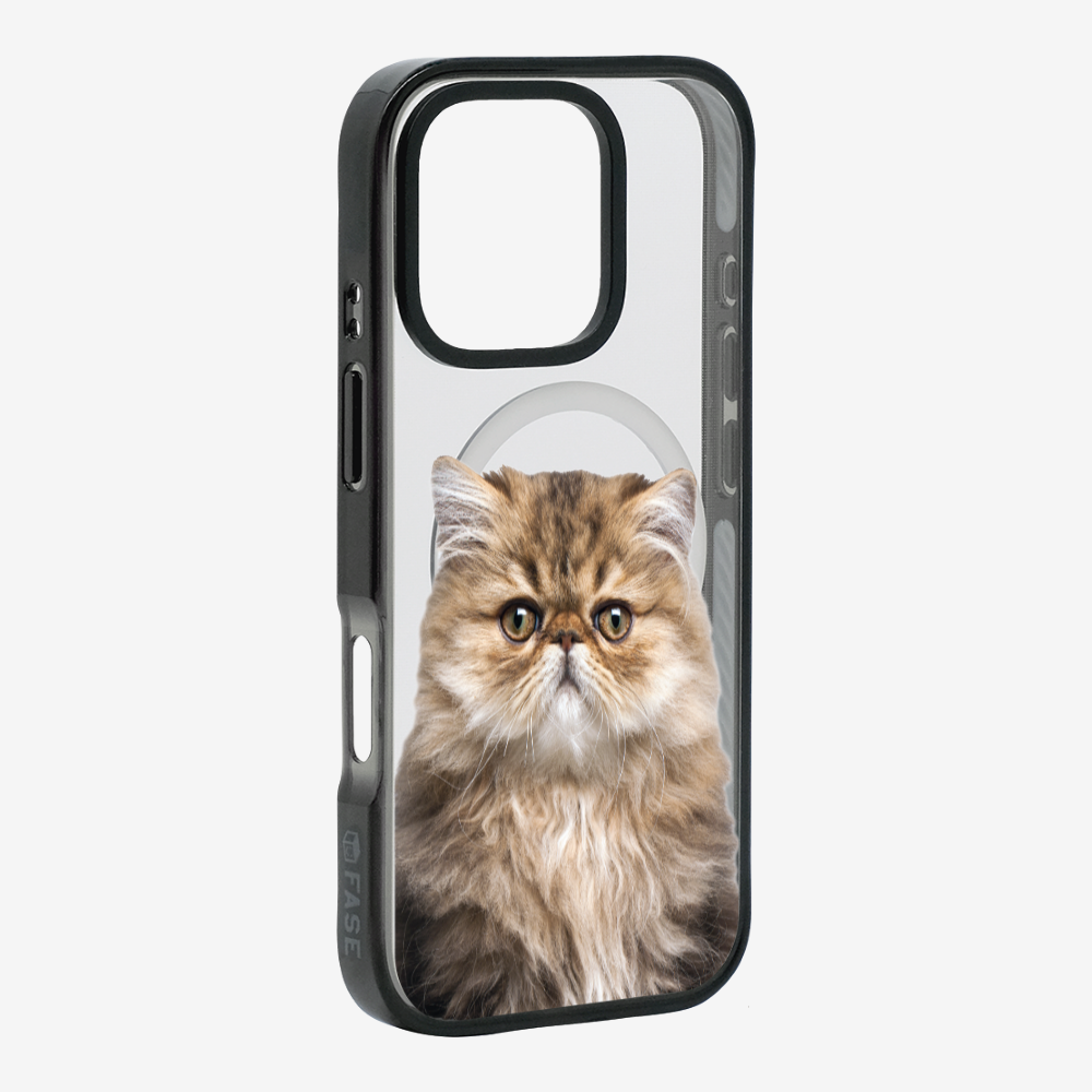 Persian Kitten (Transparent) Phone Case