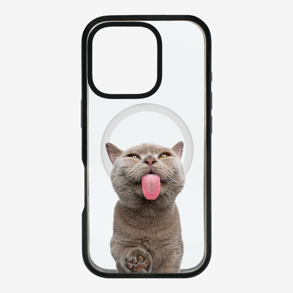 British Shorthair Kitten (Transparent) Phone Case