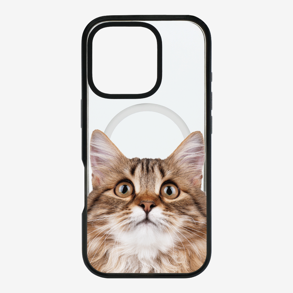 Long-haired Kitten (Transparent) Phone Case