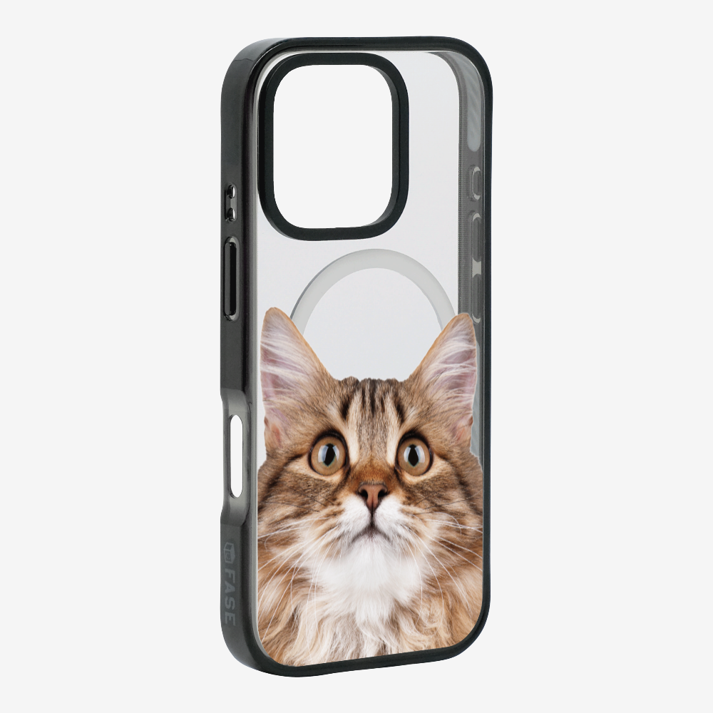 Long-haired Kitten (Transparent) Phone Case