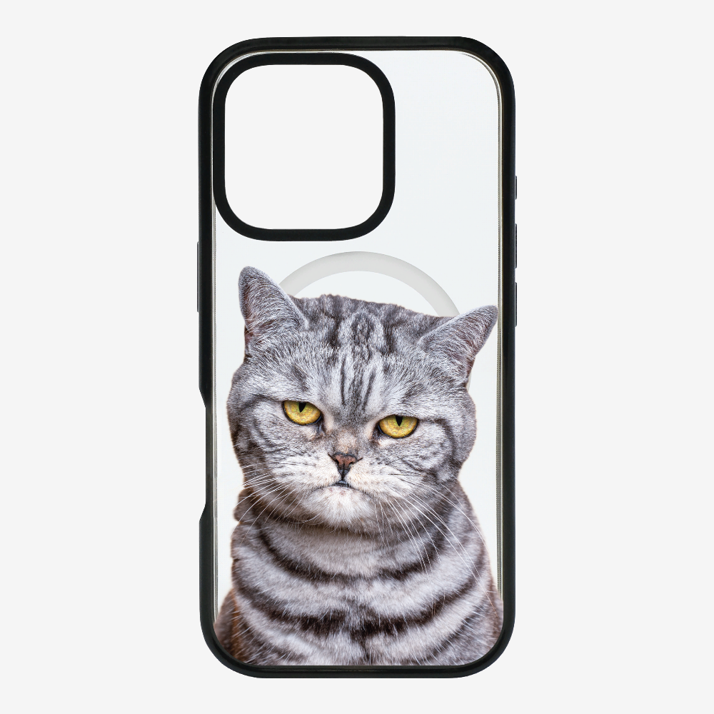 Silver Tabby (Transparent) Phone Case