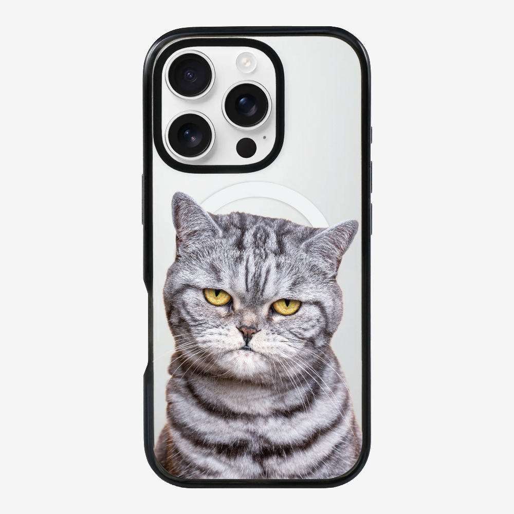 Silver Tabby (Transparent) Phone Case