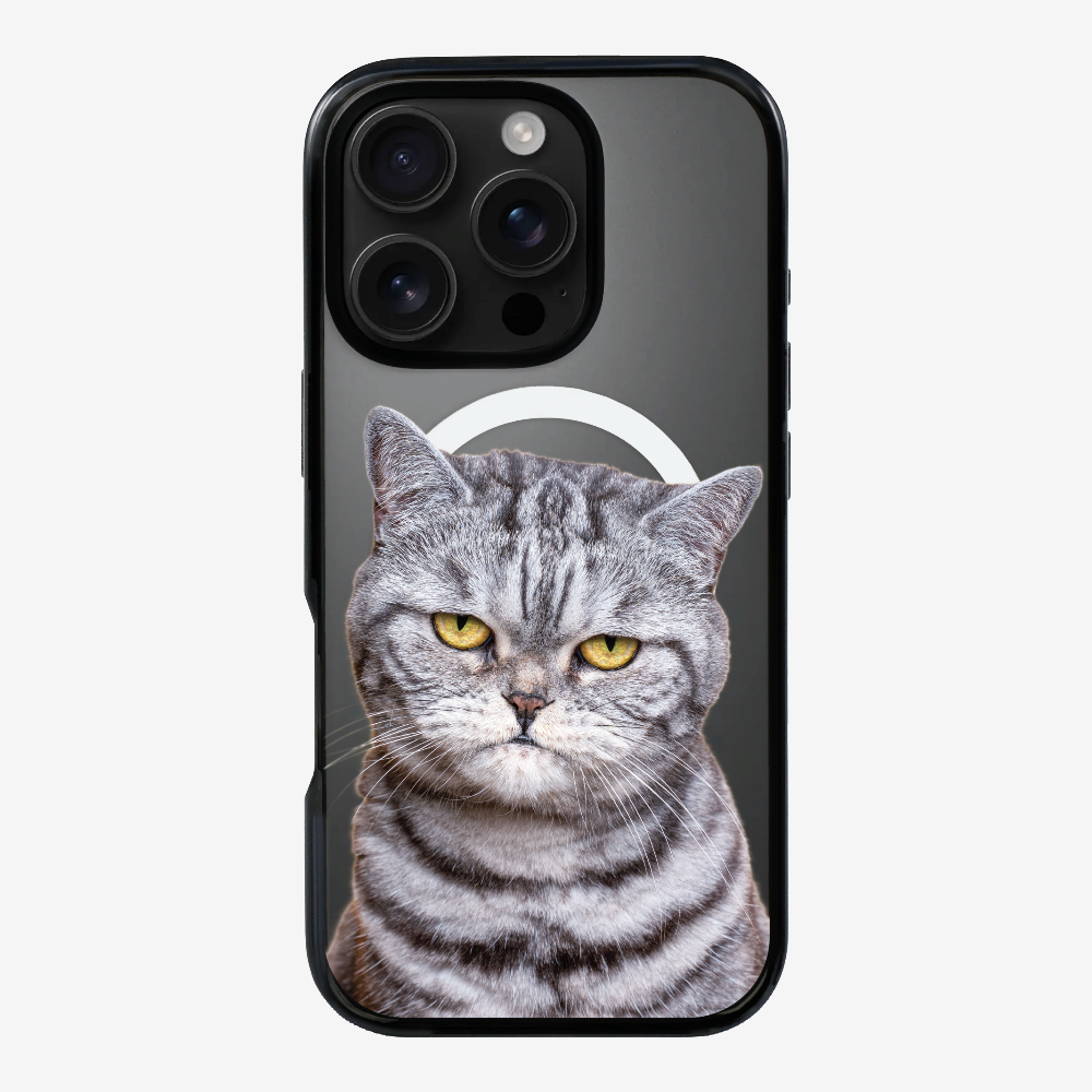 Silver Tabby (Transparent) Phone Case