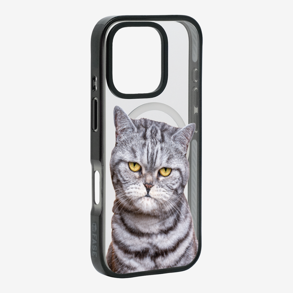 Silver Tabby (Transparent) Phone Case