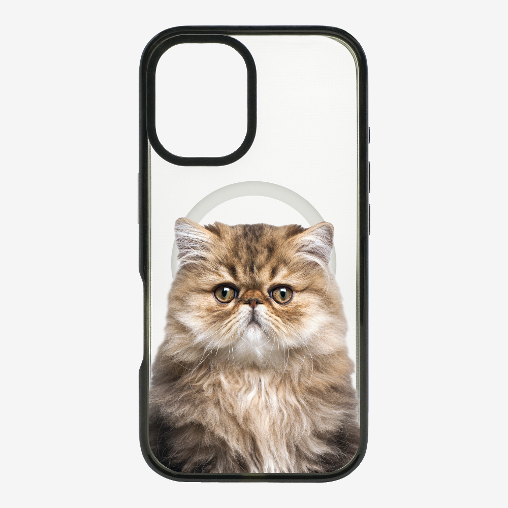 Persian Kitten (Transparent) Phone Case