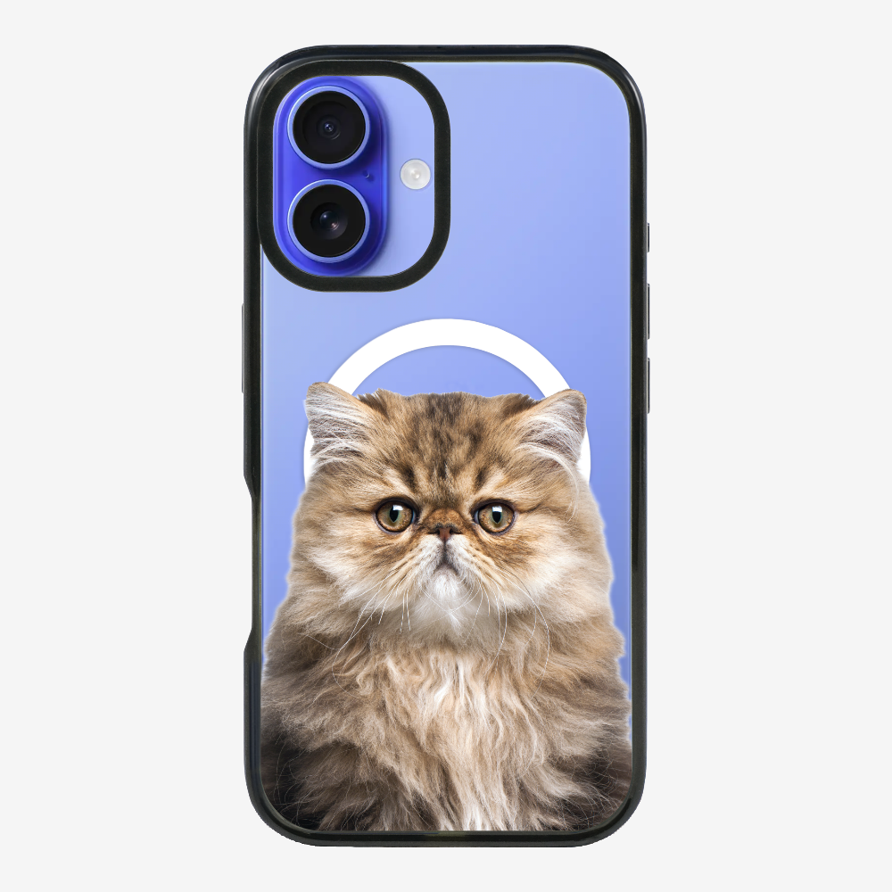 Persian Kitten (Transparent) Phone Case