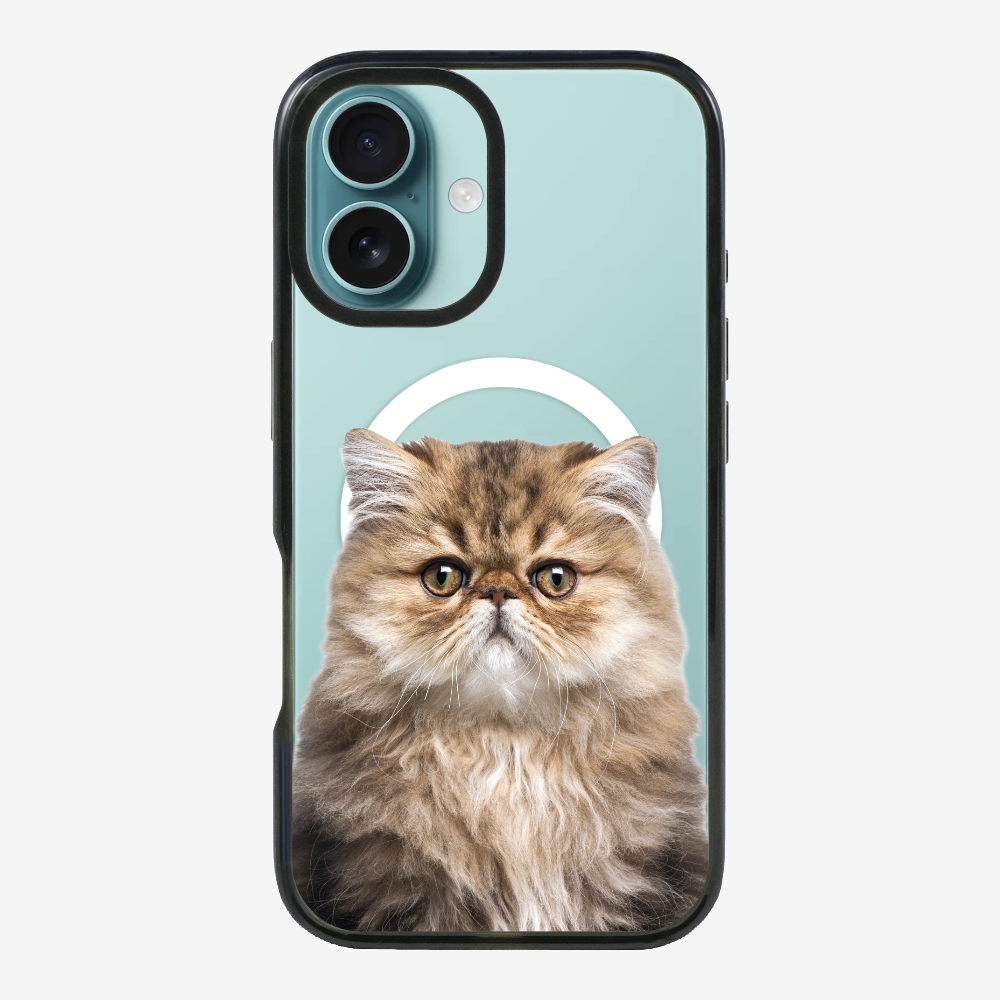 Persian Kitten (Transparent) Phone Case