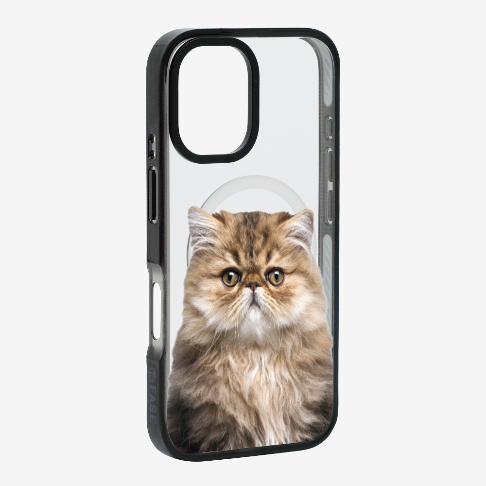 Persian Kitten (Transparent) Phone Case