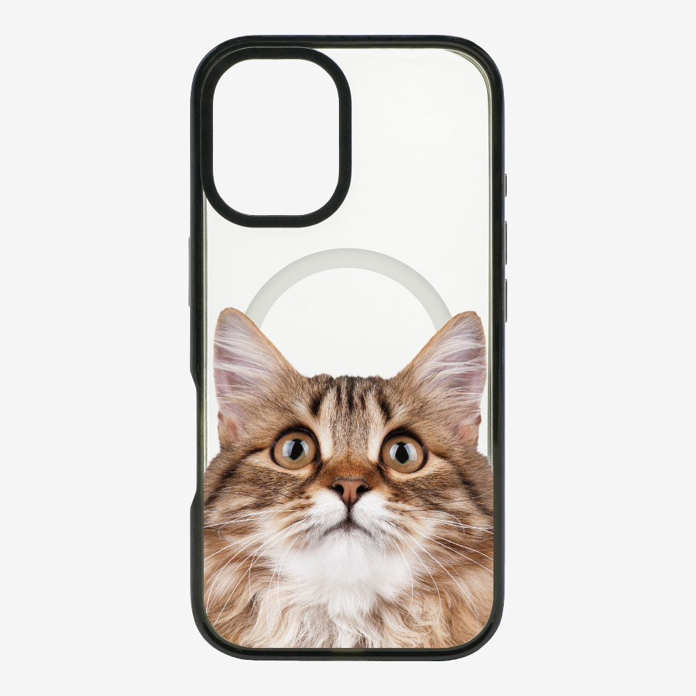 Long-haired Kitten (Transparent) Phone Case