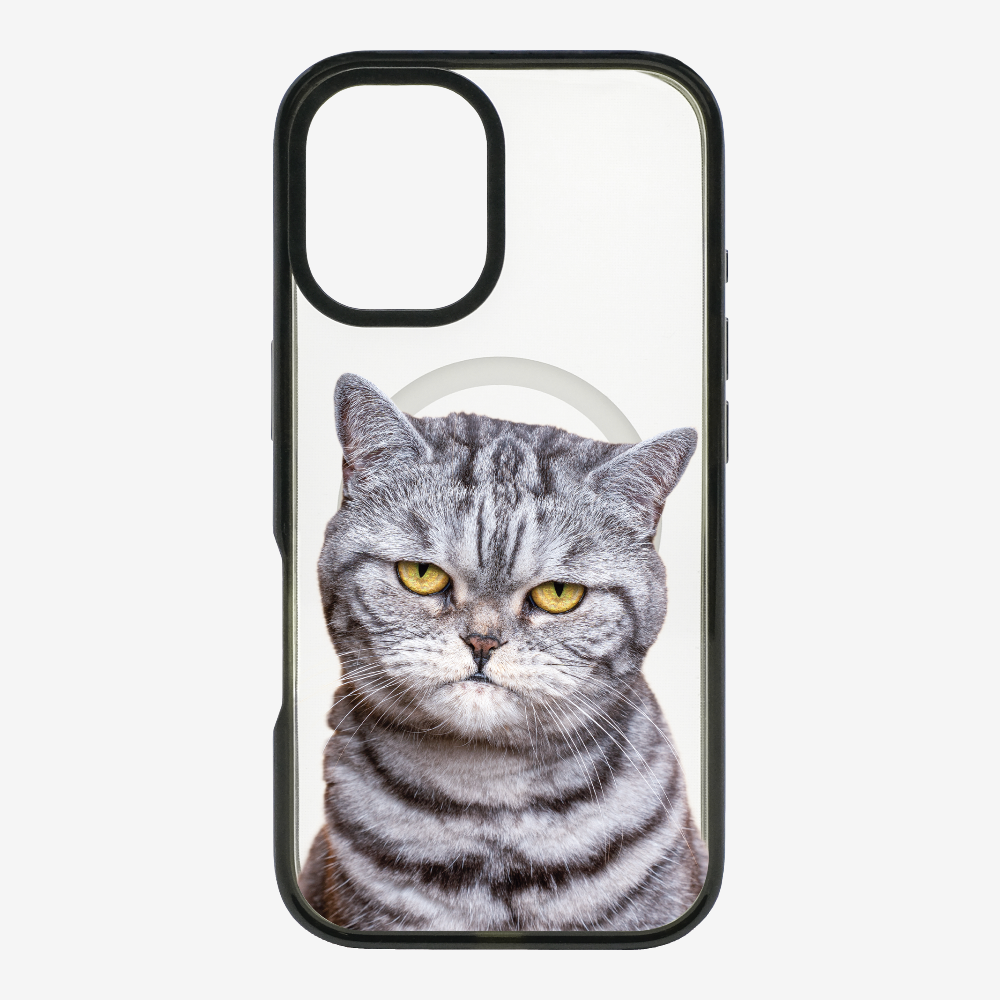 Silver Tabby (Transparent) Phone Case