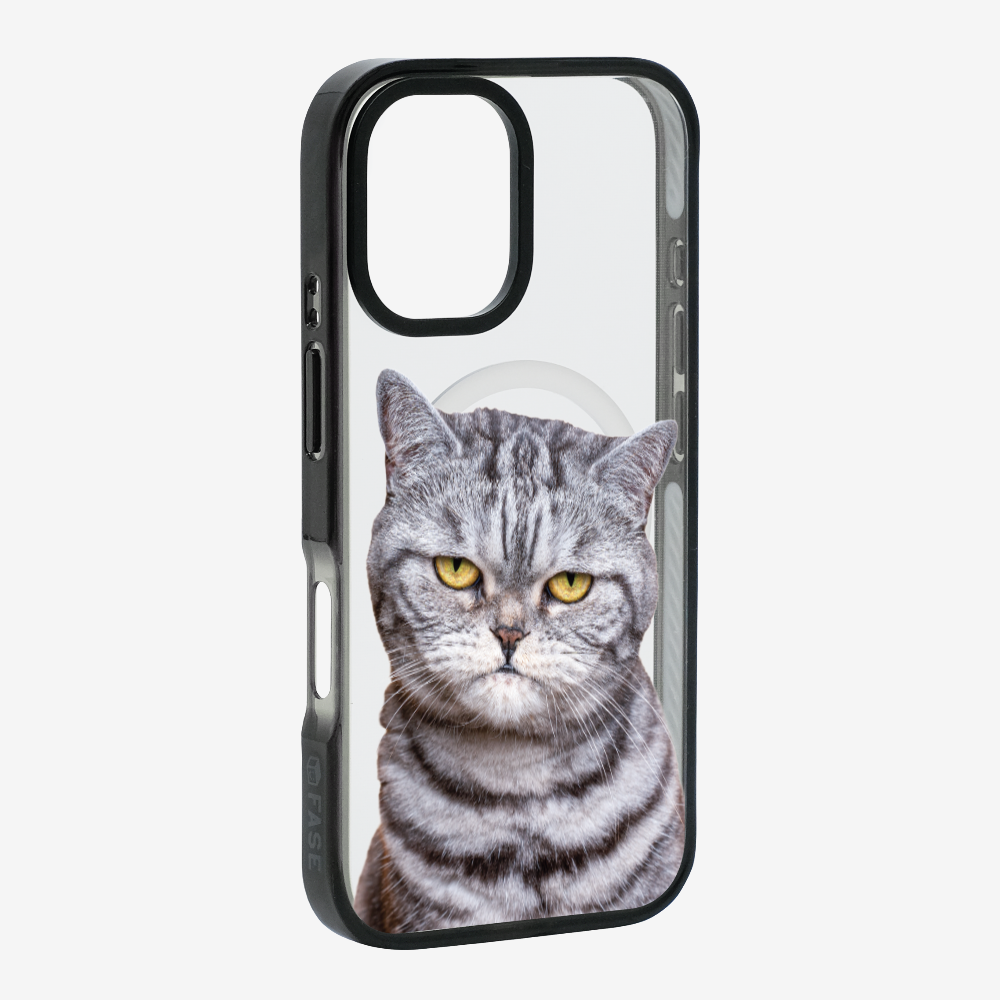 Silver Tabby (Transparent) Phone Case