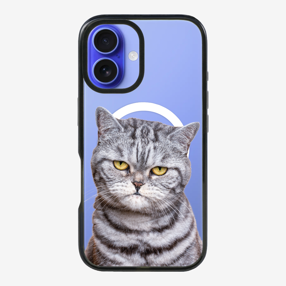 Silver Tabby (Transparent) Phone Case