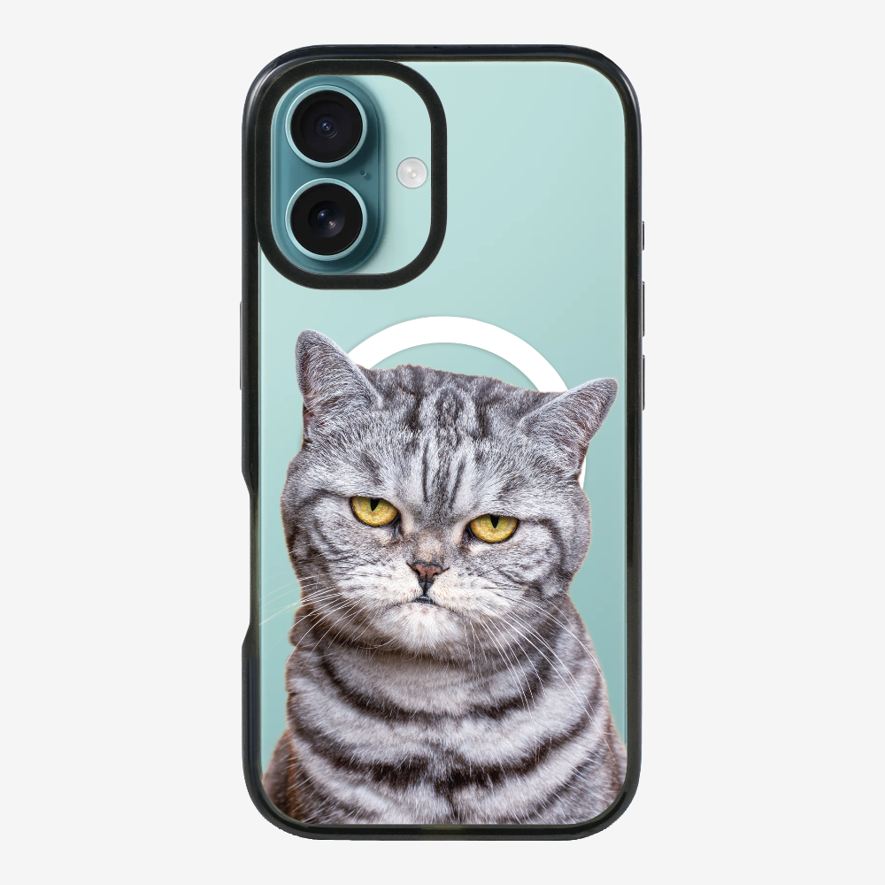 Silver Tabby (Transparent) Phone Case